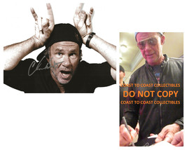 Chad Smith Red Hot Chili Peppers Drummer signed 8x10 photo COA Proof aut... - £100.51 GBP