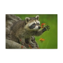 Majestic Raccoon Art Majestic Raccoon Print Animal Wall Art Wildlife Canvas Pri - £56.93 GBP+