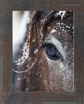 Horses Eye Art Print in Frame - £38.36 GBP