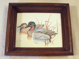 Gregory F Messier Litho Print Duck Picture Wall Art 13&quot; x 11&quot; Deep Wood Frame - £14.07 GBP