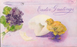 Easter Chick Hatch from Egg Artist Signed Tuck Oilette Series II Postcard c1910 - £9.34 GBP