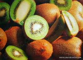 KIWI edible kiwifruit exotic seed good to eat rare fruit tree 20 seeds - £7.04 GBP