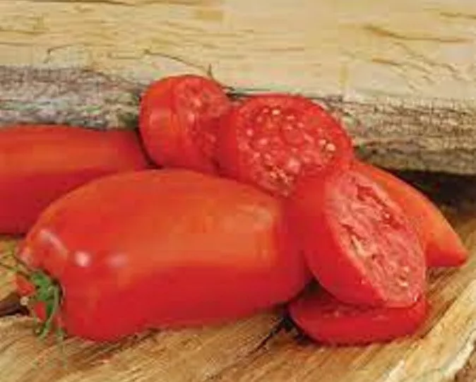 50 Seeds Margherita Tomato Vegetable Fast US Shipping - $9.50