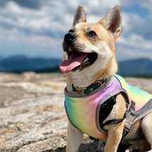 Summer Dog Cooling Vest-Breathable Mesh Dog Clothes for Small Medium Lar... - £20.32 GBP+