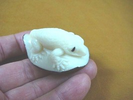 TNE-LIZ-SA-430A) white Salamander lizard TAGUA NUT Figurine carving Palm... - £20.39 GBP
