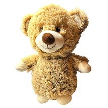 Spark Create Imagine Bear Tan Plush Rattle Crinkle Sensory 12 Inch Stuffed Anima - $8.31