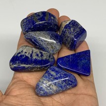 125.4g,1.1&quot;-1.4&quot;, 6pcs, Natural Lapis Lazuli Tumbled Stone @Afghanistan, B30278 - £11.85 GBP