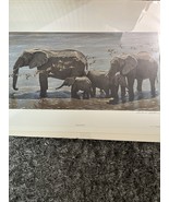 Robert BATEMAN Elephant Hero And Sandgrouse Limited Edition art print MI... - $189.55 CAD