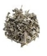 Poke Root Phytolacca Americana Pokebush Pokeberry Poke Sallet 100gm - $1,009.31 MXN