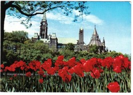 Ontario Postcard Ottawa Parliament Buildings Tulips Major Hill Park - $2.96