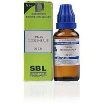 3 X Sbl Thuja Occidentalis 30 Ch (30ml) Homeopath Remedy ( Pack Of 3 ) - £22.88 GBP