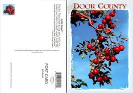 Wisconsin Door County Red Apple Orchard Tree Limb Vintage Postcard - £7.49 GBP