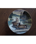 The Blue-Winged Teal 1988 Limited Edition Bart Jerner Collector Plate No... - £15.80 GBP
