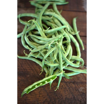 Bean Seeds - Bush - Slenderette - Vegetable Seeds - Outdoor Living - Gardening - $35.99