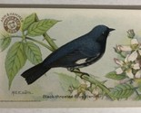 Black Throated Blue Warbler Victorian Trade Card Arm And Hammer VTC 5 - $4.46