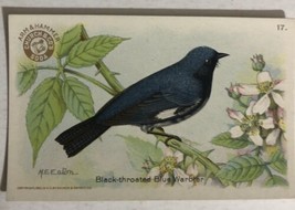 Black Throated Blue Warbler Victorian Trade Card Arm And Hammer VTC 5 - £3.54 GBP