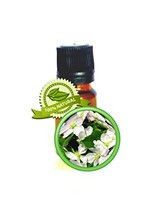 Jasmine Essential Oil - 100% PURE Jasminum Grandiflorum - 15ml (1/2oz) - £101.70 GBP