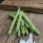 Provider Snap Bean - 50 Seeds - $15.80