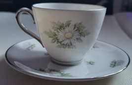 2 Pcs. Teacup  Saucer Set Silver Thistle Franconia Flowers Selb Bavaria - $22.52 CAD