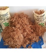 Dried Sea Moss - Premium Quality Wildcrafted Jamaican Sea... - $1,200.00