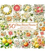 Citrus Bloom Clipart Bundle: Watercolor Lemons, Oranges, Flowers (PNG, 3... - $3.60