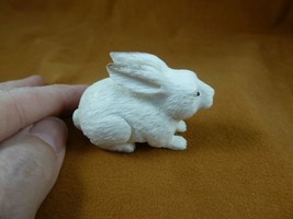bun-w10 white Bunny Rabbit hare of shed ANTLER figurine Bali detailed ca... - £47.23 GBP