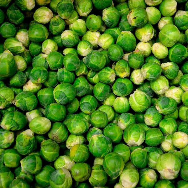 240+ Long Island Improved Brussels Sprouts Seeds Heirloom Non Gmo Fresh Garden B - £5.49 GBP