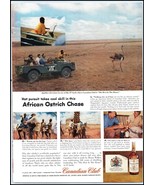 Canadian Club PRINT AD African Ostrich Chase Safari Canadian Blended Whi... - $244.91 MXN