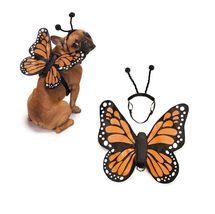 PUREPET Dog Costume Butterfly Glow in The Dark Wings Doubles as Harness ... - £21.99 GBP+