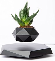 Bandd Floating Plant Pot - Levitating Plant Pot For Succulents, Air, Black - £64.73 GBP