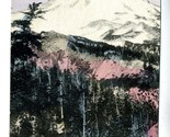 Mount Hood Oregon Hand Colored Unused Undivided Back Postcard - £9.49 GBP
