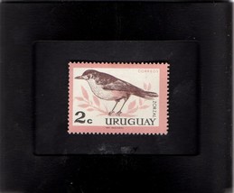  Tchotchke Stamp Art - Collectible Uruguay Postage Stamp - Native Birds - $9.99