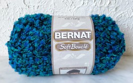 Bernat Soft Boucle Acrylic Blend Variegated Yarn - 1 Skein Color Rave #26734 - $9.45