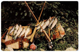 Nice Catch Of Mountain Trout Fishing Postcard - £5.17 GBP