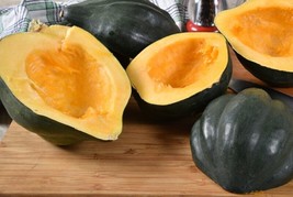 SR12Store 20 Fresh Heirloom Nongmo Table Queen Acorn Premium Winter Squash Seeds - £6.64 GBP