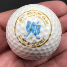 Cannes Mougins Golf Country Club France Souvenir Golf Ball Wilson 432 - $9.49