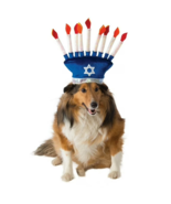Rubies Menorah Hat for Hanukkah Festival of Lights for Dogs or Cats to C... - $12.99