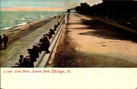 Lake Drive, Lincoln Park Chicago Vtg Udb Pre 1908 Postcard BK42 - £4.74 GBP