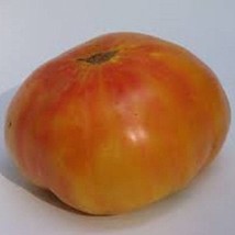 Old German - Beautiful And Delicious - 25 Seeds Per Packet - Organic Hei... - $8.98