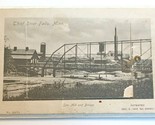Fold-Out Latch Door Mechanical Postcard Thief River Falls Minnesota MN U... - £52.71 GBP
