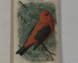 Arm &amp; Hammer Useful Birds Of America Antique #11 Scarlet Tanager VTC2 - £3.15 GBP