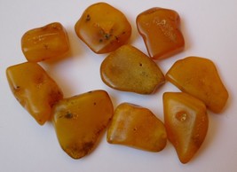k36 Gemstones 9psc Honey Natural Baltic Amber drilled gems bead charm amulet 10g - £35.27 GBP