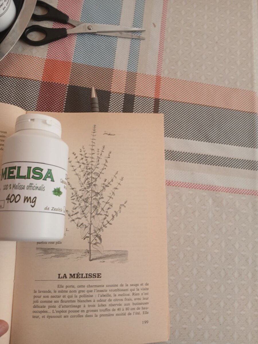 10 Bottles, Lemon Balm Capsules 400mg: Vegan Herbal Supplement, Relaxation - 120 Item image 8