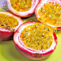 Purple Passion Fruits Pack 40 Seeds Passiflora Edulis Sour Sweet Egg Fruit Nutri - £5.30 GBP