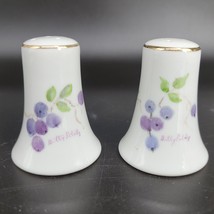 Salt &amp; Paper Shakers Hand Painted Porcelain Signed by Artist Blue Berries Unique - £9.07 GBP