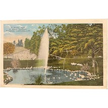 Vintage Postcard, Busch Gardens, Pasadena, California - £7.83 GBP
