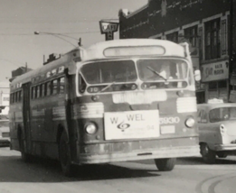 Chicago Transit Authority CTA Bus #5930 Route 81 Photo Family House Greek Food - $9.49