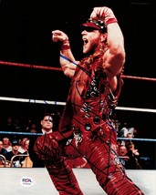 Shawn Michaels signed 8x10 photo PSA/DNA COA WWE Autographed Wrestling - £118.51 GBP