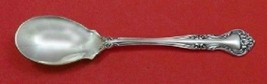 Amaryllis by Manchester Sterling Silver Ice Cream Spoon 6 1/8&quot; Custom - £54.30 GBP