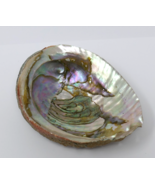 Abalone Iridescent MOP Shell - $27.43